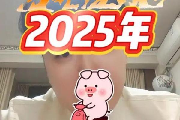 2025年属猪人年龄详解你几岁了 2025年属猪人年龄详解你几岁了