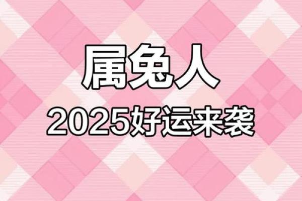 2025属兔全年运势_2025年的属兔人的全年运程 2025属兔全年运势_2025年的属兔人的全年运程
