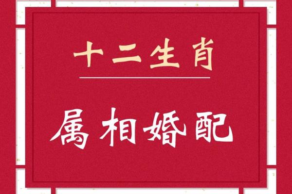 属兔最佳婚配属相 属兔最佳婚配属相揭秘12生肖中的完美伴侣