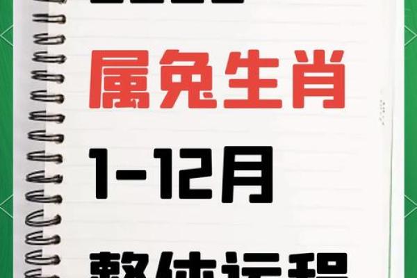 1963年属兔的今年多大_1963年属兔多大年龄了 1963年属兔的今年多大_1963年属兔多大年龄了