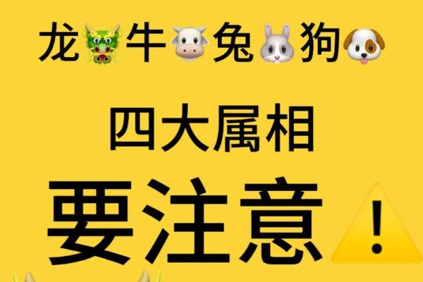 88年属龙人2025年的运势及运程_88年属龙人2025年的运势及运程9 月8 日 88年属龙人2025年的运势及运程_88年属龙人2025年的运势及运程9 月8 日