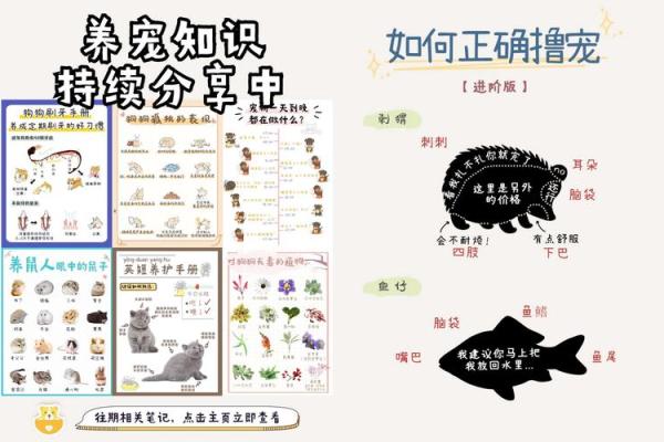 “手无寸铁”打一个生肖动物，手无寸铁打一生肖答案解释释义落实