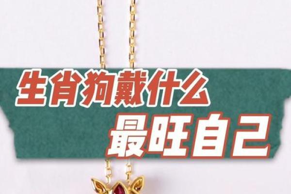 属狗2025戴什么转运_2025属狗戴什么最旺 属狗2025戴什么转运_2025属狗戴什么最旺