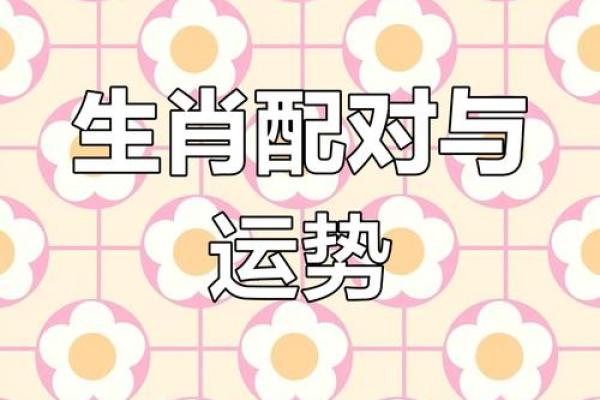 蛇兔配的姻缘怎么样啊 蛇兔配的姻缘怎么样啊女生 蛇兔配的姻缘怎么样啊 蛇兔配的姻缘怎么样啊女生