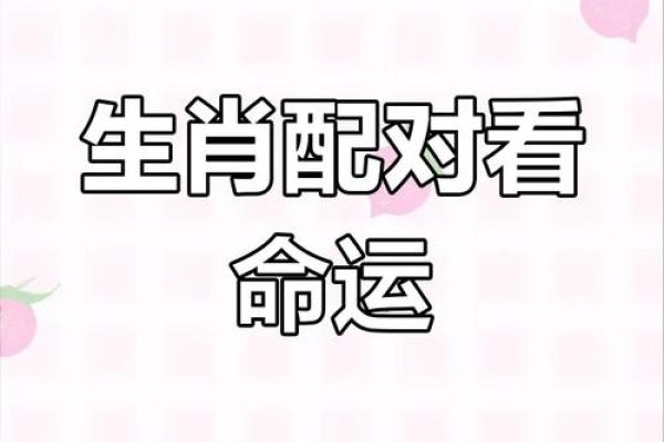 蛇兔配的姻缘怎么样啊 蛇兔配的姻缘怎么样啊女生 蛇兔配的姻缘怎么样啊 蛇兔配的姻缘怎么样啊女生