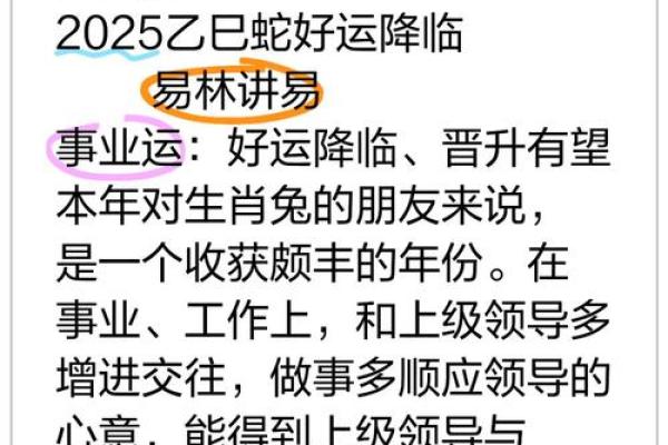 87年兔2025年的运势及运程_2025年87年兔运势解析运程详解与吉凶预测 87年兔2025年的运势及运程_2025年87年兔运势解析运程详解与吉凶预测