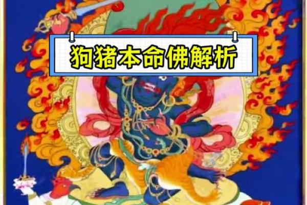 2007年2月6日属猪还是属狗 2007年2月属猪是什么命 2007年2月6日属猪还是属狗 2007年2月属猪是什么命