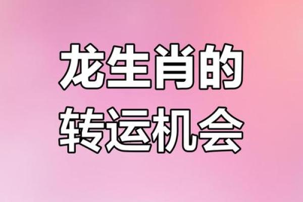 属马2025事业运势_2025属马人全年事业运程详解吉月助力腾飞指南