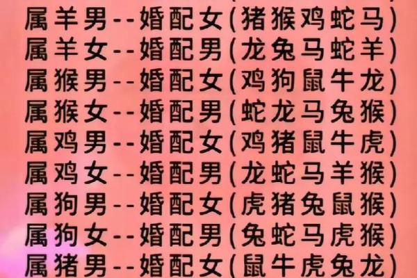 71属猪最佳婚配_71年属猪最佳婚配指南生肖配对与幸福婚姻秘诀 71属猪最佳婚配_71年属猪最佳婚配指南生肖配对与幸福婚姻秘诀