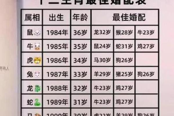1975属兔人最佳婚配属相大揭秘
