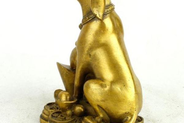 属狗人带什么饰品最旺财运2024年招财必备指南 属狗人带什么饰品最旺财运2024年招财必备指南