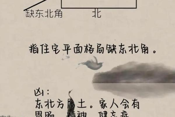 怎么看姻缘 如何看姻缘揭秘姻缘测算的科学与玄学