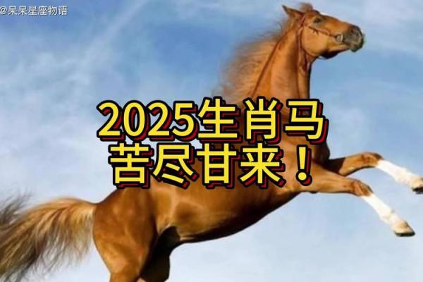 1978年属马女2025全年完整运气 属马90年女2025年运势如何呢 1978年属马女2025全年完整运气 属马90年女2025年运势如何呢