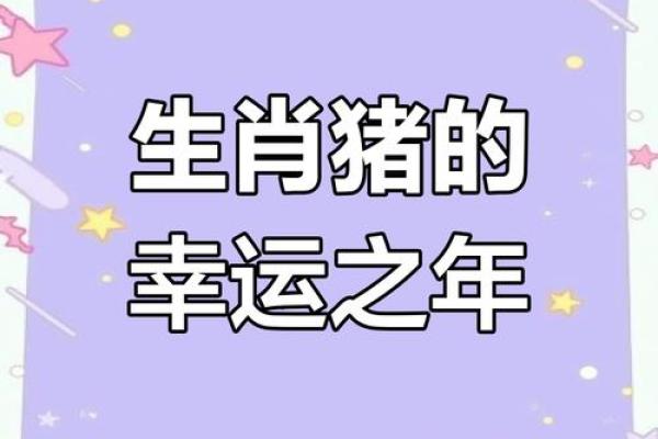 71属猪2025年有大喜缠身_71年属猪男晚年凄惨婚姻 71属猪2025年有大喜缠身_71年属猪男晚年凄惨婚姻
