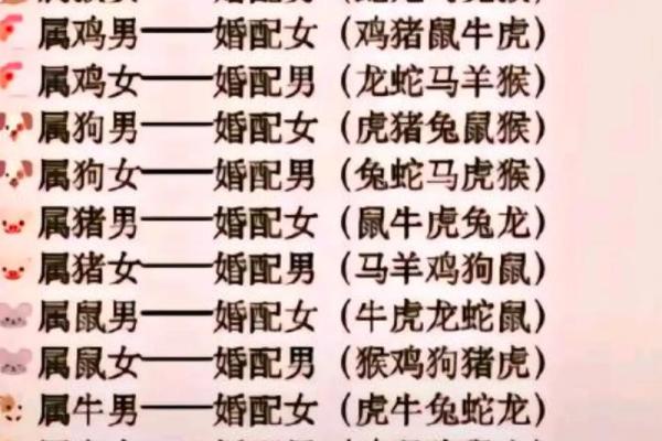 2002年属马的男孩最佳婚配_02属马的婚配大忌 2002年属马的男孩最佳婚配_02属马的婚配大忌