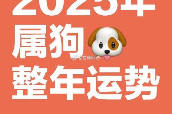 2025年属狗今日运势详解财运事业感情全解析 2025年属狗今日运势详解财运事业感情全解析