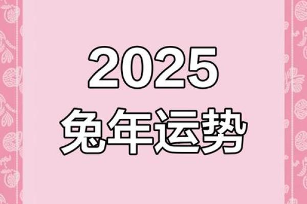 属兔女2025年结婚最佳日子_属兔2025年是什么年