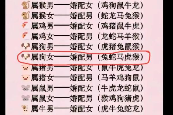 男孩属虎女孩属龙可以婚配吗 男生属虎女生属龙在一起好吗