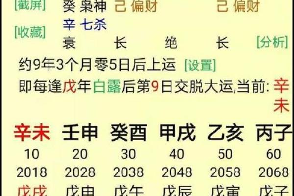 06年是什么年生辰八字 2006年出生生辰八字解析命运与性格全揭秘
