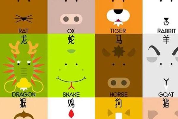 一飞冲天指什么生肖(一飞冲天指什么生肖最佳) 一飞冲天指什么生肖(一飞冲天指什么生肖最佳)