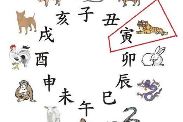 寅时出生的女孩姻缘 寅时出生的女孩命运怎样 寅时出生的女孩姻缘 寅时出生的女孩命运怎样