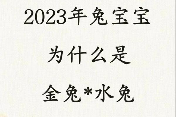 2023年是农历癸卯兔年吗