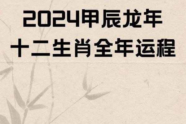 1976年属龙人2024年运势详解全年每月运程指南 1976年属龙人2024年运势详解全年每月运程指南