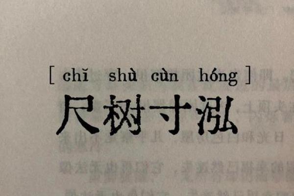 “尺树寸泓”打一生肖是什么,尺树寸泓是什么生肖答案解释释义落实 “尺树寸泓”打一生肖是什么,尺树寸泓是什么生肖答案解释释义落实