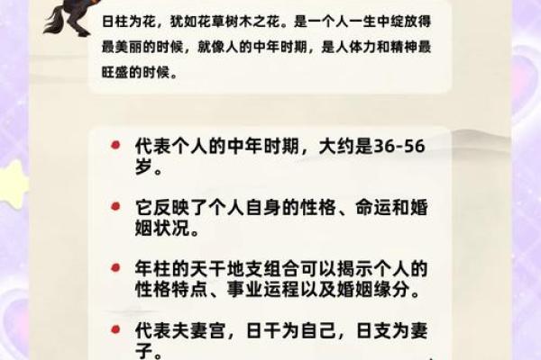 生辰八字测试_生辰八字测试揭秘你的命运密码与未来运势