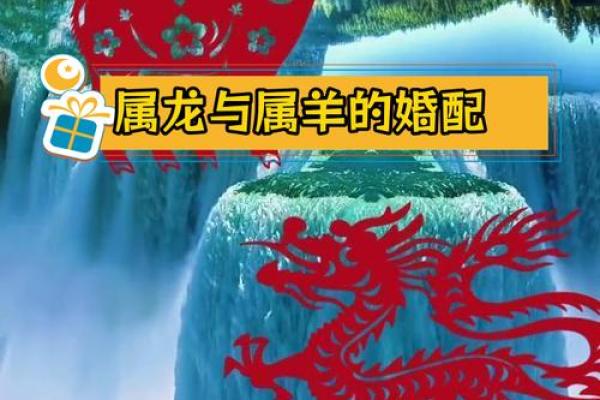 2000年属龙男与属龙女相配吗 2000年男龙和2000年女龙配吗