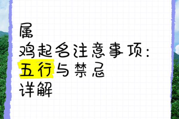 1981年属鸡五行属性解析金木水火土全揭秘 1981年属鸡五行属性解析金木水火土全揭秘