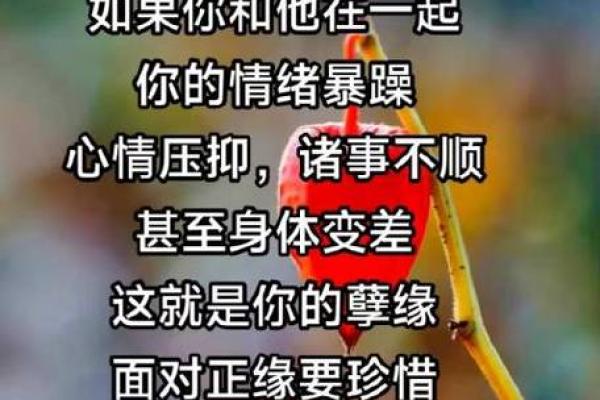 孽缘也是一种缘分 孽缘也是一种缘分解读命运中的特殊相遇