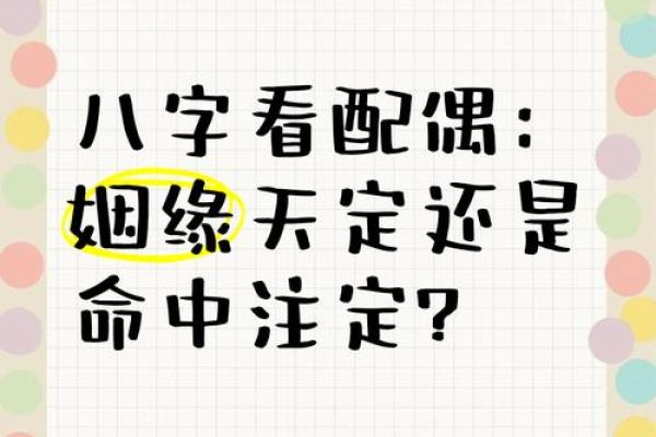 合姻缘指南如何找到命中注定的另一半 合姻缘指南如何找到命中注定的另一半