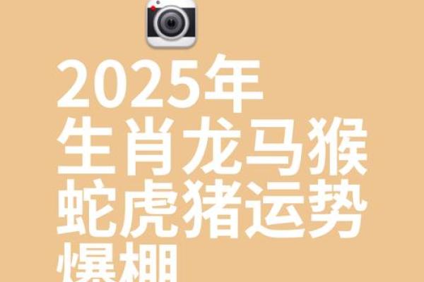 76年属龙2025年运势 76年属龙2025年运势及运程每月运程花边新闻 76年属龙2025年运势 76年属龙2025年运势及运程每月运程花边新闻