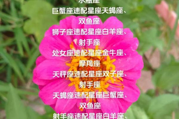 白羊座男与狮子座女的匹配程度是多少