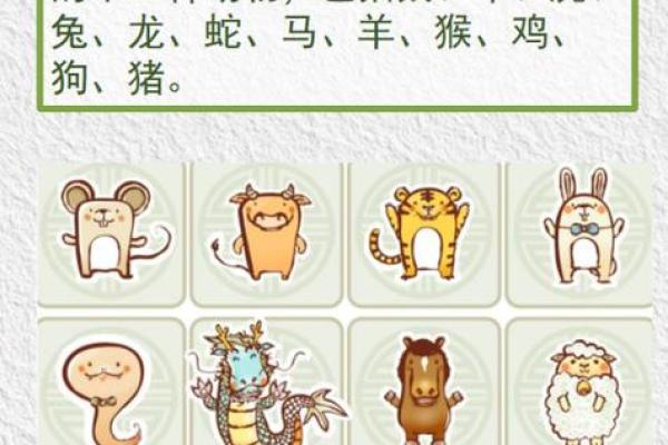 大打出手是什么生肖