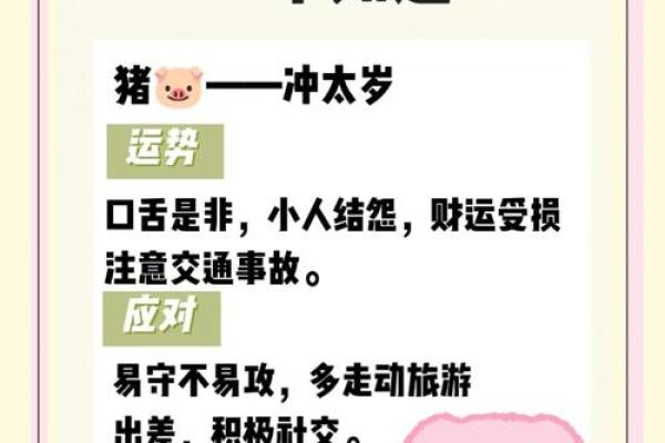 2025年属猪人哪天躲星_2025年属猪躲星时间表