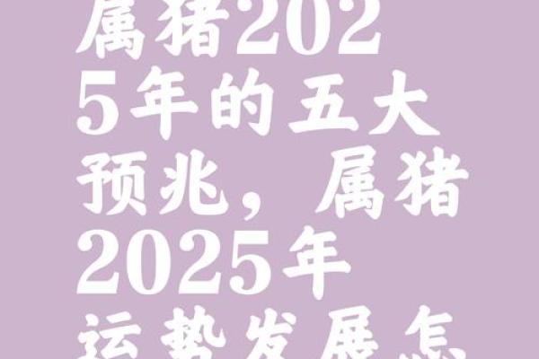 1971属猪女2025年 1971属猪女2025年运势解析财运事业感情全揭秘 1971属猪女2025年 1971属猪女2025年运势解析财运事业感情全揭秘