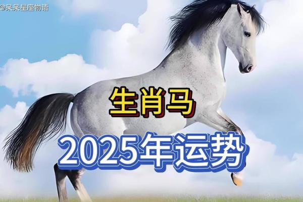 2025年属马人的全年运势超详细 1978年属马2025年运势及运程 2025年属马人的全年运势超详细 1978年属马2025年运势及运程