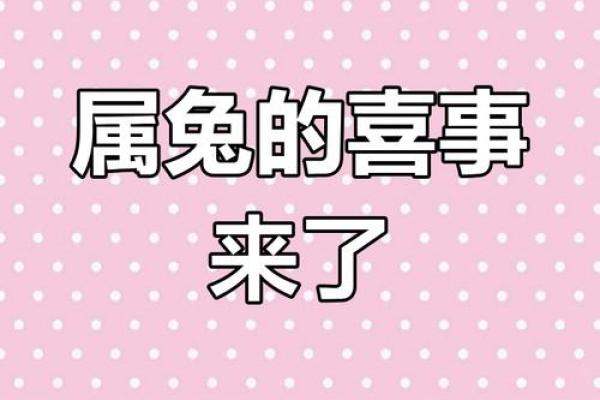 属鸡的和属兔的婚配好不好_属鸡和属兔的婚配解析缘分深浅与幸福指数 属鸡的和属兔的婚配好不好_属鸡和属兔的婚配解析缘分深浅与幸福指数