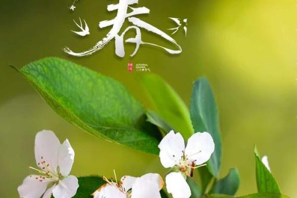 2021年什么时候立春 2021年什么时候立春