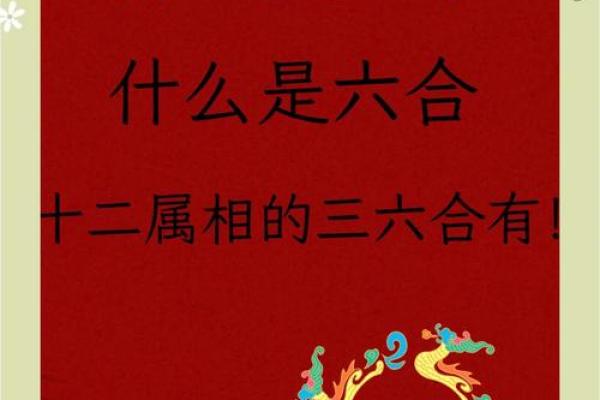 “三妻四妾”打一最佳准确生肖,三妻四妾是什么生肖答案解释释义落实 “三妻四妾”打一最佳准确生肖,三妻四妾是什么生肖答案解释释义落实