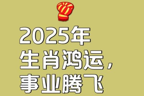 属猪2025年多大了_2025年属猪人年龄揭秘你今年多大了 属猪2025年多大了_2025年属猪人年龄揭秘你今年多大了