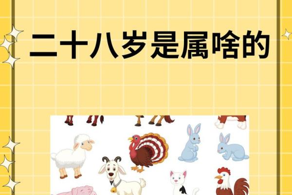 95年2025年属猪人的全年运势 95年生肖猪2023年运势 95年2025年属猪人的全年运势 95年生肖猪2023年运势