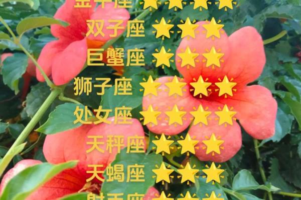 白羊座3月财运(白羊座3月财运运势) 白羊座3月财运(白羊座3月财运运势)