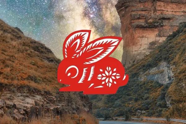 属兔女2022年结婚好吗(属兔女2022年结婚好吗) 属兔女2022年结婚好吗(属兔女2022年结婚好吗)