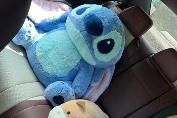 4月25号适合提车吗为什么 4月25号适合提车吗为什么