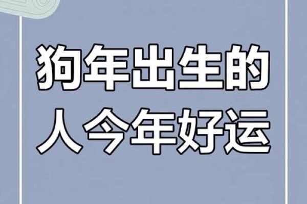 82年狗在2025年运势及运程_2025年82年属狗人运势详解运程全解析 82年狗在2025年运势及运程_2025年82年属狗人运势详解运程全解析