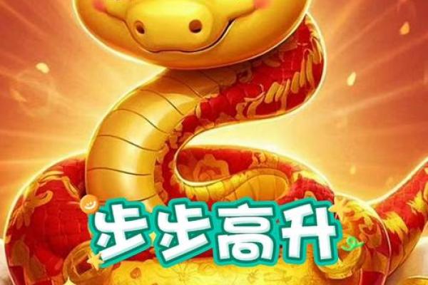 2025属马的今年多大 属蛇2025本命年多大 2025属马的今年多大 属蛇2025本命年多大