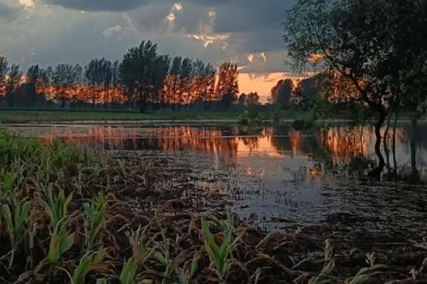 “沧海桑田”是代表哪个生肖,沧海桑田是什么生肖答案解释释义落实 “沧海桑田”是代表哪个生肖,沧海桑田是什么生肖答案解释释义落实